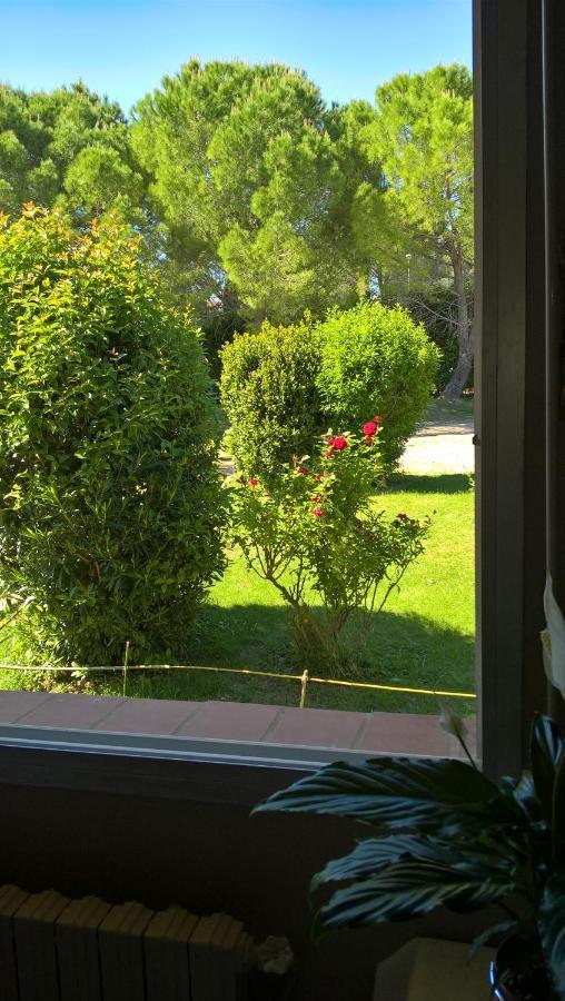 Chez Naomi Bed & Breakfast Saint-Jean-de-Cornies Екстериор снимка